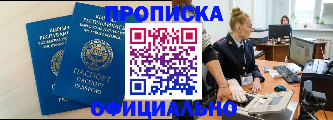 где прописаться в Коле